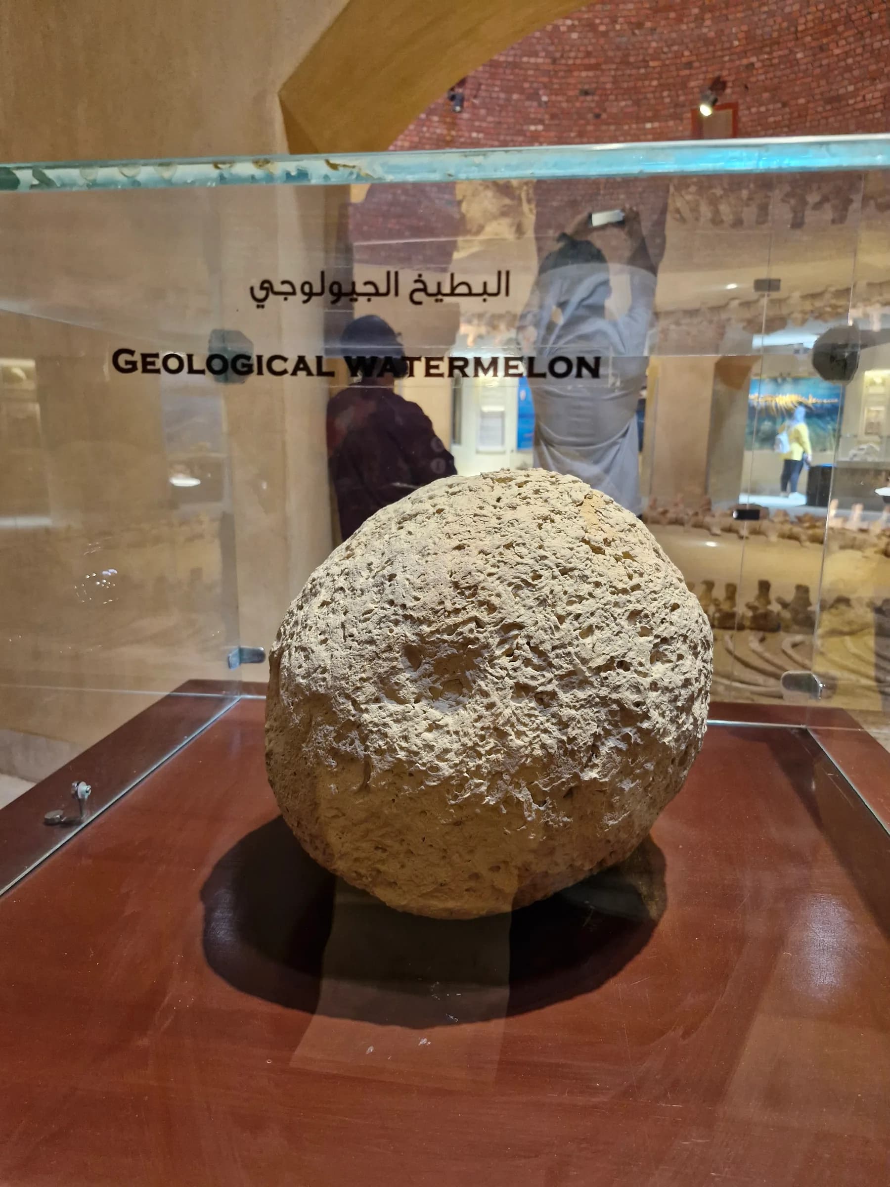 A large, spherical, rough-textured rock, labeled as a 'Geological Watermelon,' displayed on a brown pedestal.