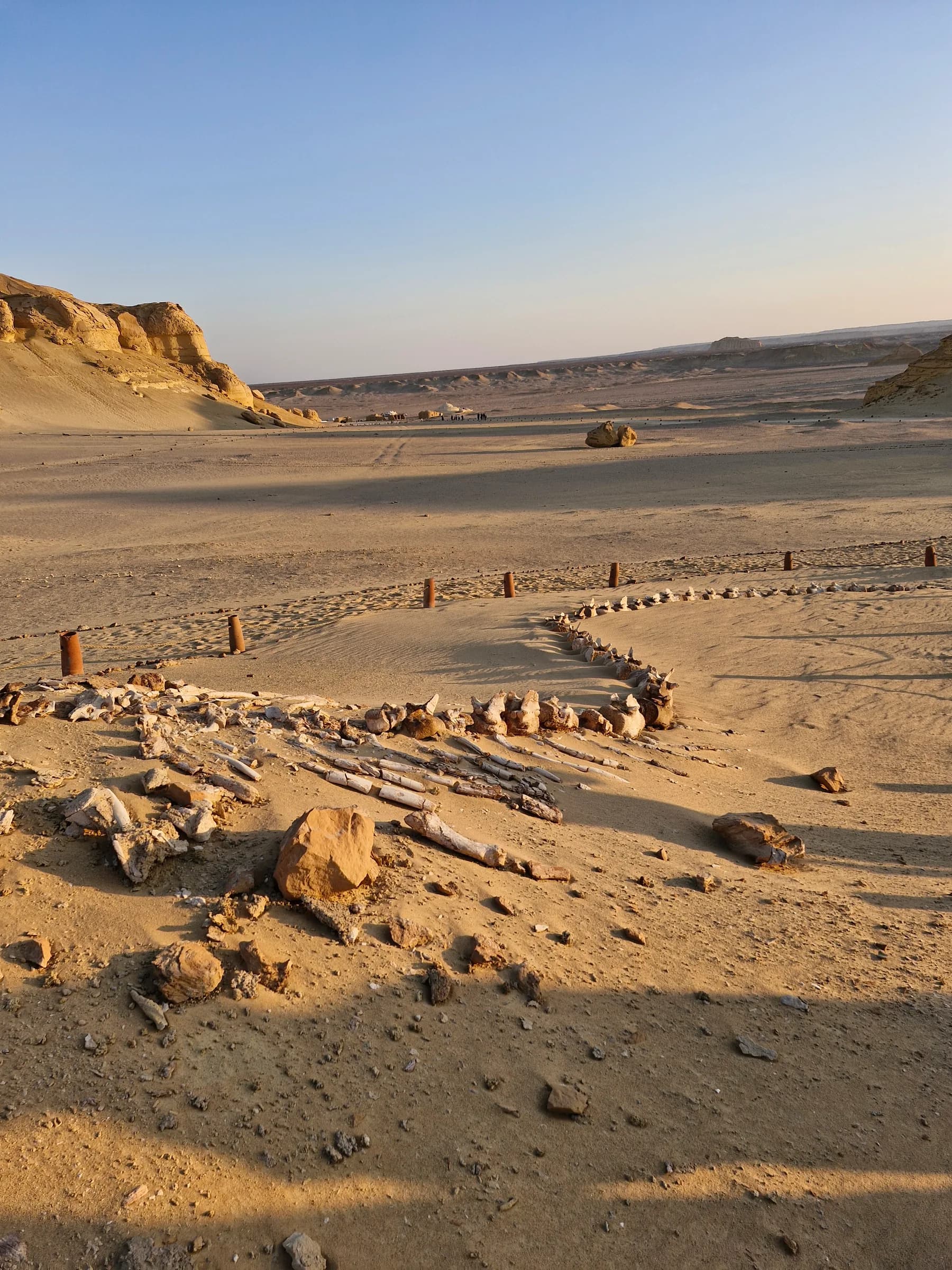 Wide desert landscape with a winding trail of large fossilized bones and scattered rocks under a clear blue sky.